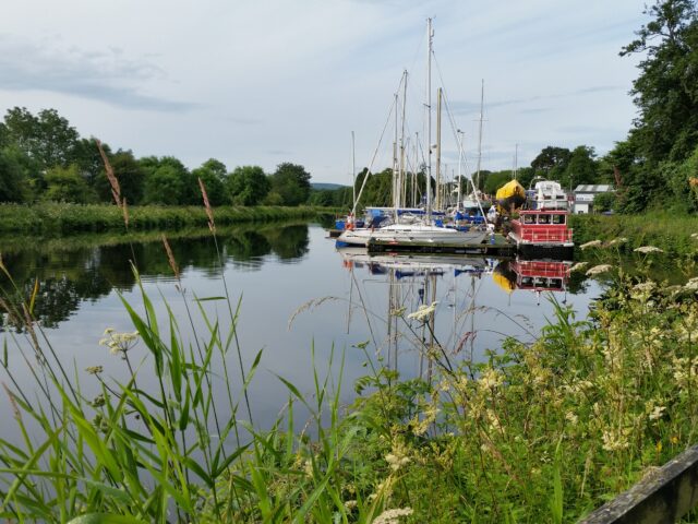 Boats in the water. Caley Marina.